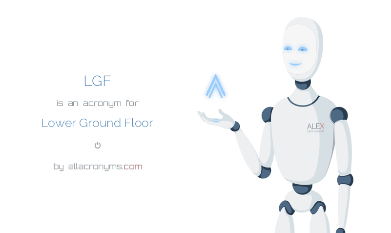 Lgf Lower Ground Floor