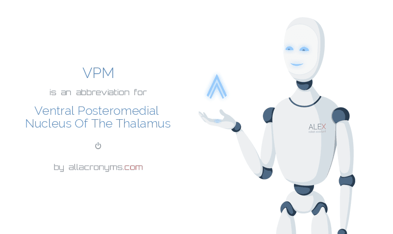 VPM Ventral Posteromedial Nucleus Of The Thalamus